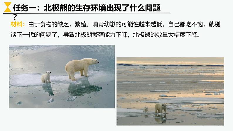 5.1人类面临的主要环境问题课件高一年级第二学期地理人教版(2019)必修第二册08