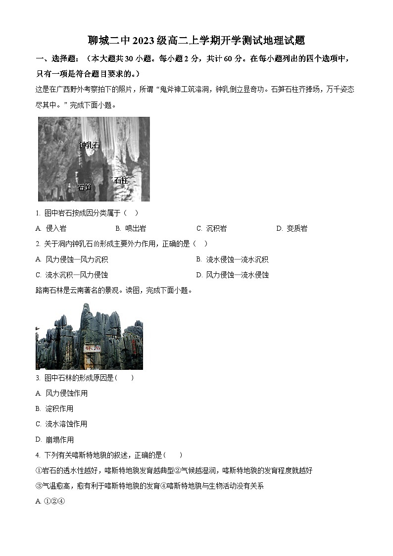 山东省聊城市第二中学2024-2025学年高二上学期开学考试地理试题(Word版附解析)01