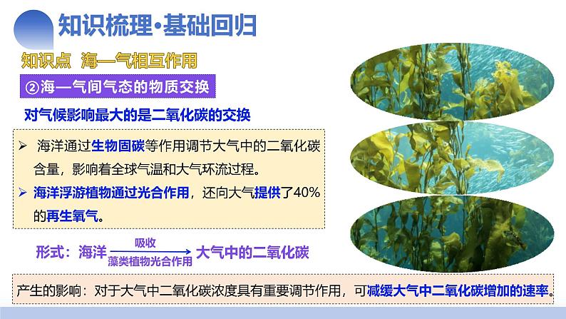 第12讲 海—气相互作用和环流异常(课件)-2025年高考地理一轮复习讲练测(新教材新高考)第8页
