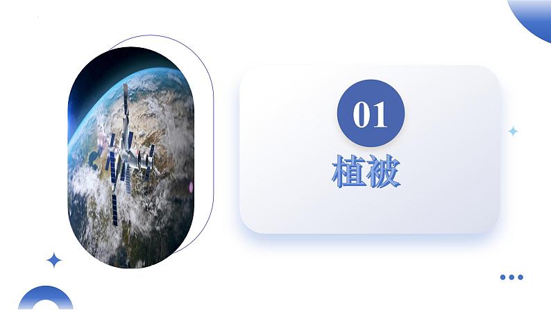 第16讲 植被和土壤(课件)-2025年高考地理一轮复习讲练测(新教材新高考)05