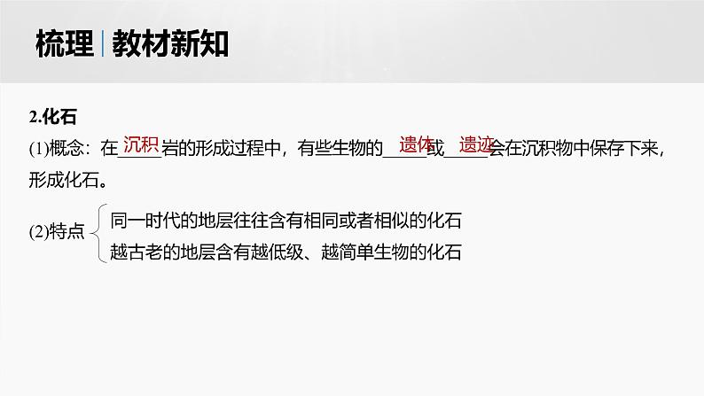 人教版高中地理必修第一册第一章第三节 《地球的历史》课件第6页