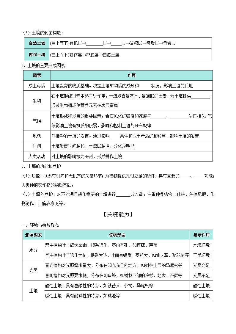 第19讲 植被与土壤(知识清单)-【聚焦一轮】2025年高考地理一轮复习全程跟踪讲与练(原卷版)第2页