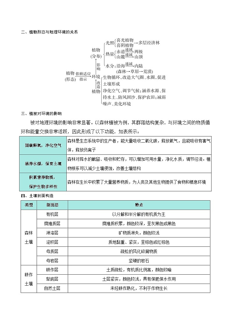 第19讲 植被与土壤(知识清单)-【聚焦一轮】2025年高考地理一轮复习全程跟踪讲与练(原卷版)第3页