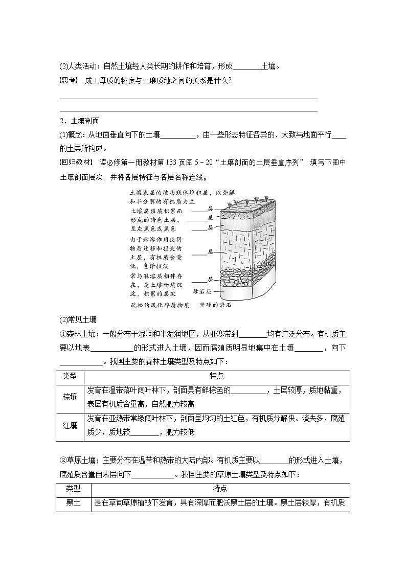 第一部分 第六章 第一讲 课时三5 土壤的形成(课件+讲练)-2025高考大一轮复习地理(湘教版)02