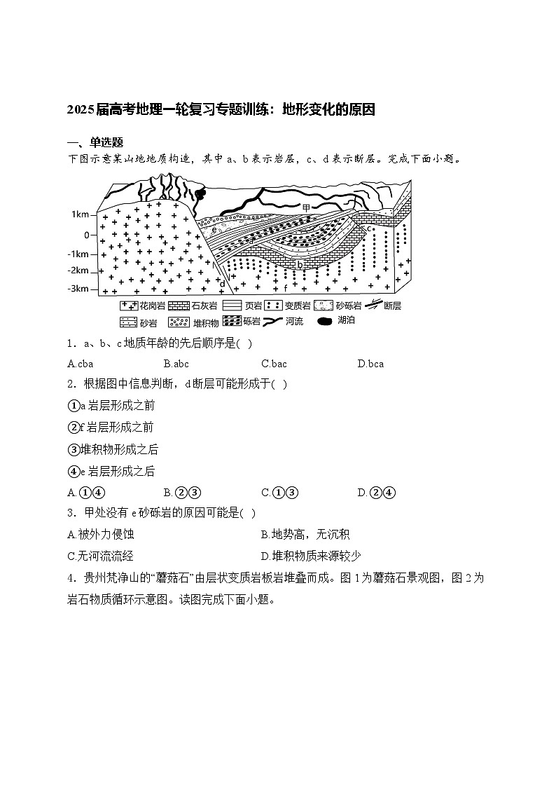 2025届高考地理一轮复习专题训练: 地形变化的原因(含解析与答案)01