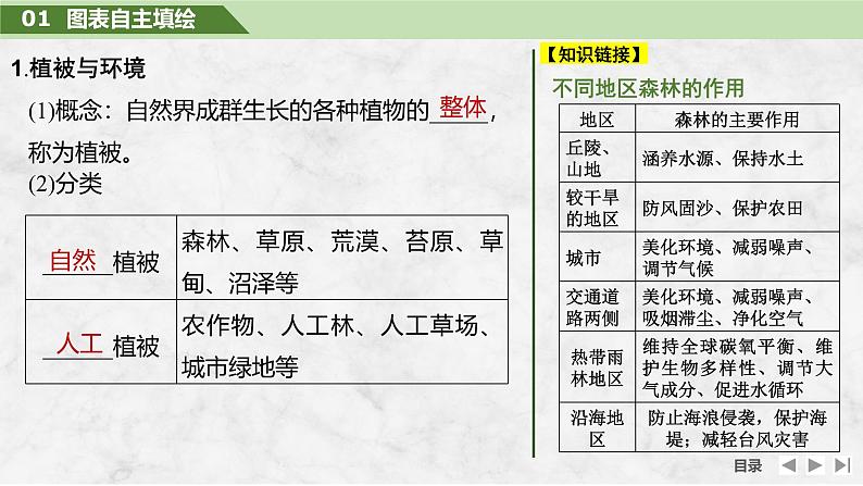 2025届高中地理一轮复习课件:第一部分自然地理第八单元自然环境的整体性与差异性第38课时 植被(共30张ppt)第5页