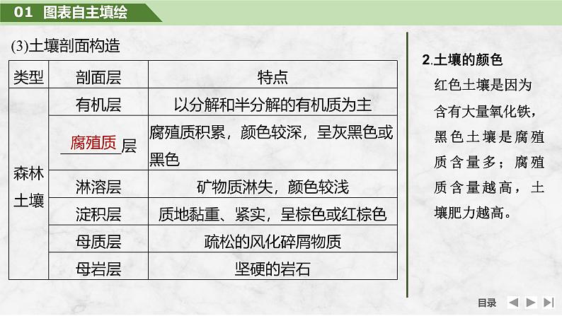 2025届高中地理一轮复习课件:第一部分自然地理第八单元自然环境的整体性与差异性第39课时 土壤(共36张ppt)第8页