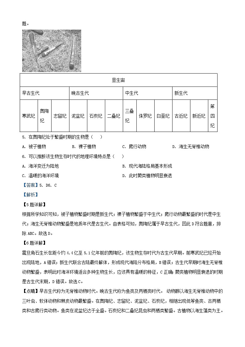 四川省成都市成华区某校2023_2024学年高一地理上学期12月月考试题含解析第3页