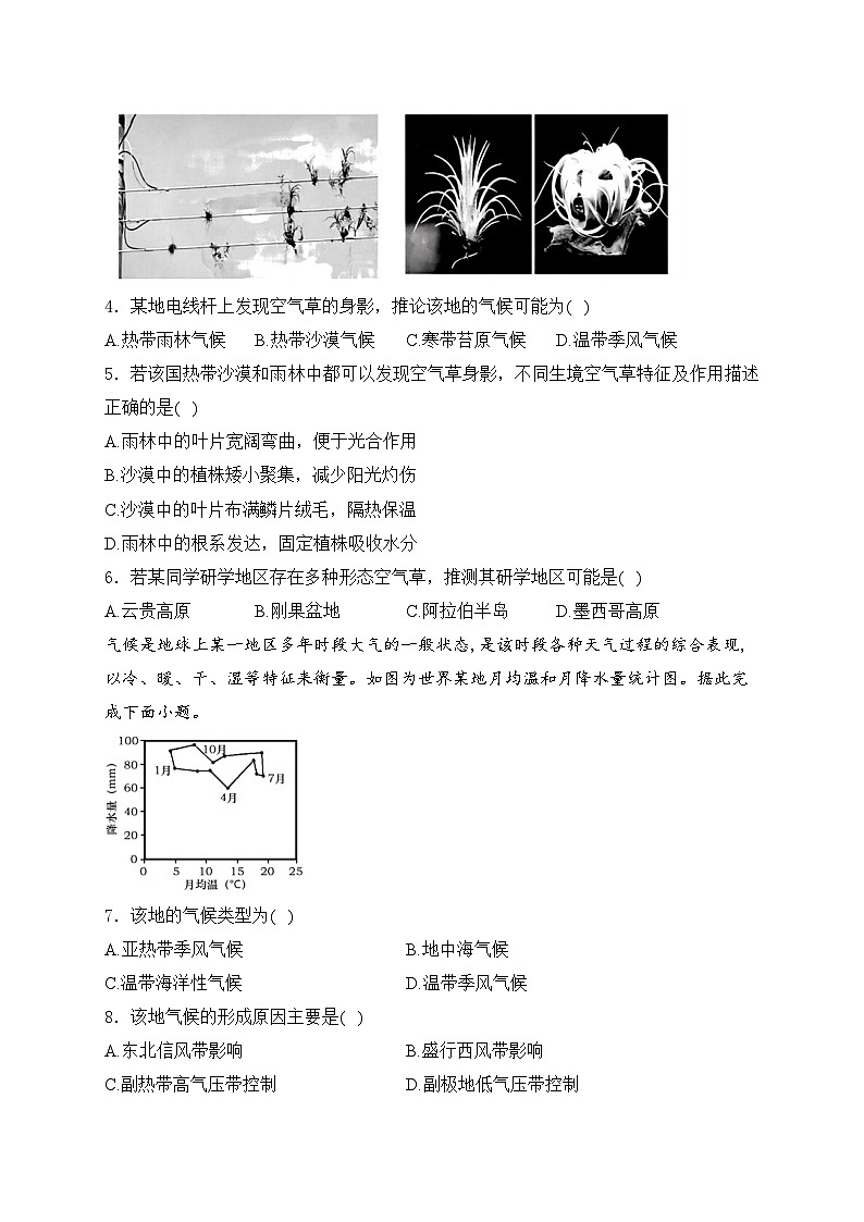 2025届高中地理一轮复习基础知识专题练: 气压带和风带对气候的影响第2页