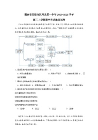 湖南省常德市汉寿县第一中学2024-2025学年高三上学期11月期中地理试题