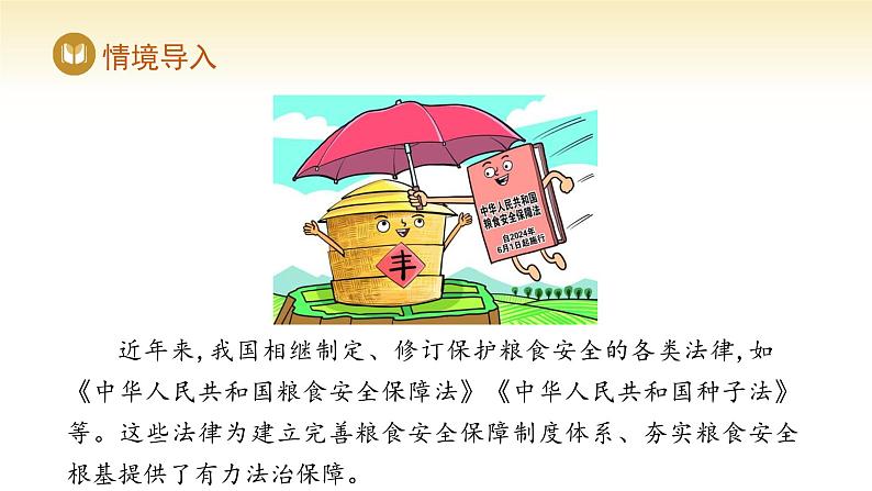 人教版高中地理选择性必修3课件 第二章 第三节 中国的耕地资源与粮食安全(课件)第7页
