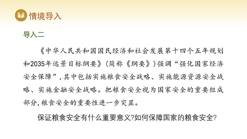 人教版高中地理选择性必修3课件 第四章 第二节 国家战略与政策(课件)第3页
