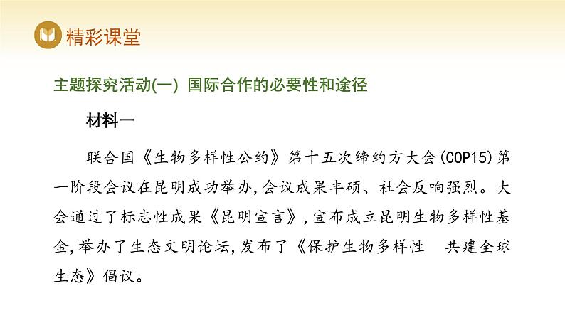 人教版高中地理选择性必修3课件 第四章 第三节 国际合作(课件)第5页