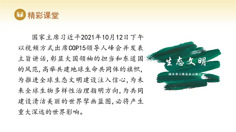 人教版高中地理选择性必修3课件 第四章 第三节 国际合作(课件)第6页
