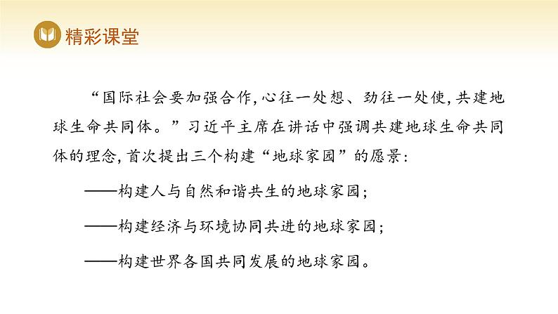 人教版高中地理选择性必修3课件 第四章 第三节 国际合作(课件)第7页