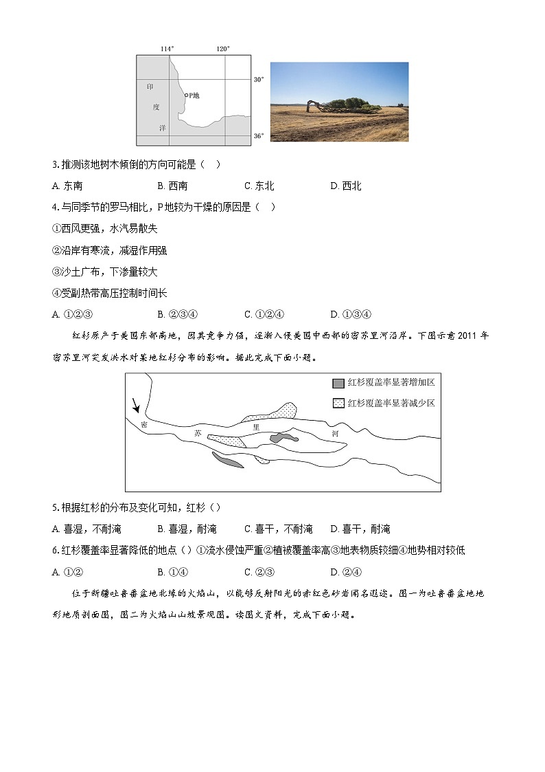 天津市西青区张家窝中学2024-2025学年高三上学期第二次月考地理试题-A4第2页
