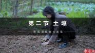 高中地理人教版 (2019)必修 第一册第五章 植被与土壤第二节 土壤优质ppt课件