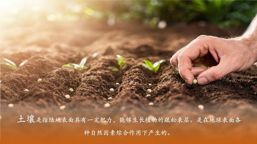 《土壤的形成》第5頁