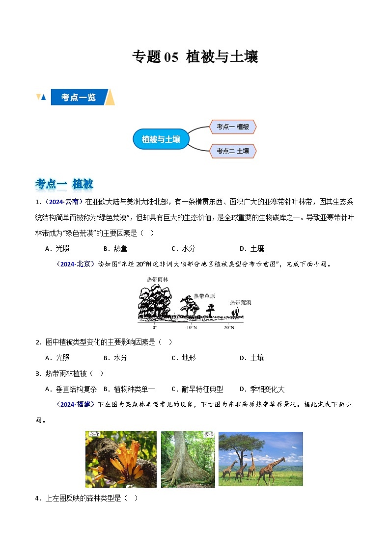 专题05 植被与土壤(原卷版)第1页