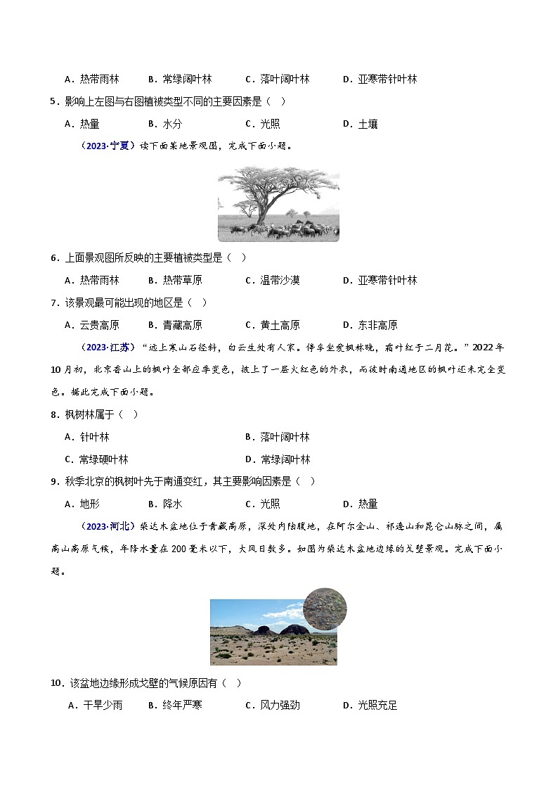 专题05 植被与土壤(原卷版)第2页