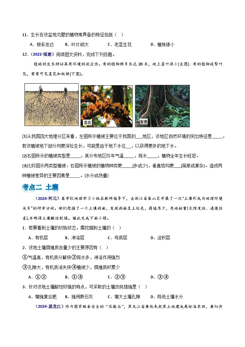 专题05 植被与土壤(原卷版)第3页