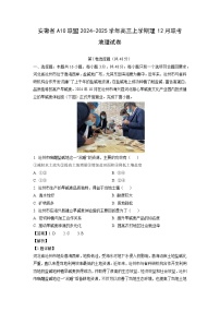 安徽省A10联盟2024-2025学年高三上学期理12月联考地理试卷（解析版）