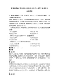 安徽省皖南八校2024-2025学年高三上学期12月联考地理试题（解析版）