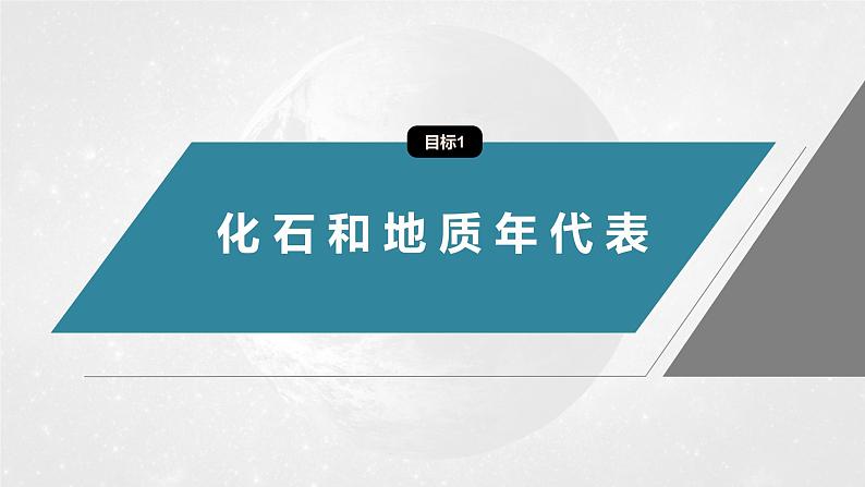 第一章 第三节 地球的历史(课件)第5页