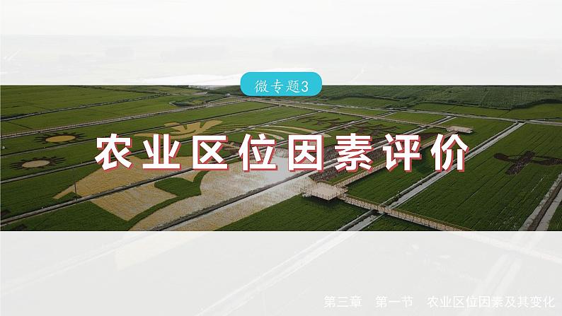 第三章 第一节 微专题3 农业区位因素评价(课件)第2页