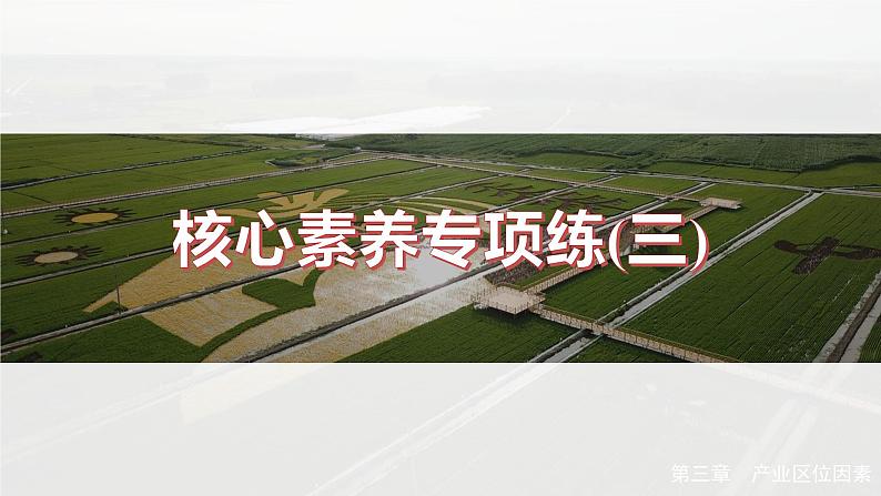 第三章 核心素养专项练(三)(课件)第2页