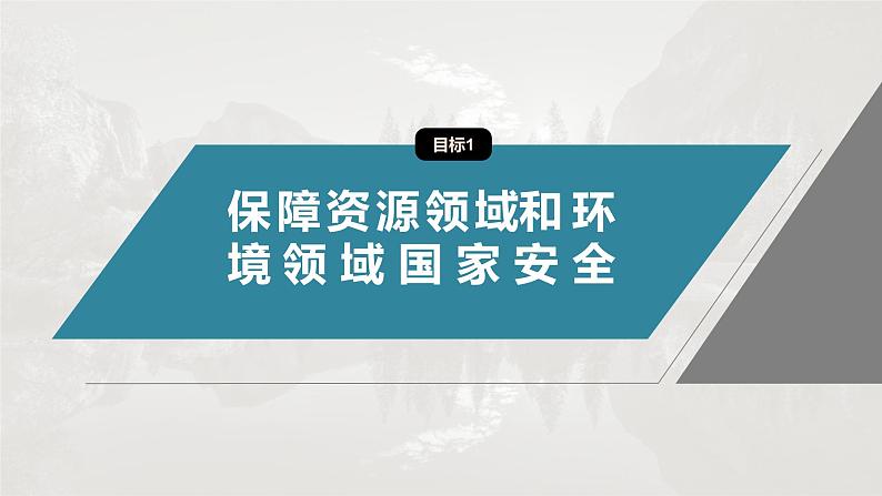 第四章 第二节 国家战略与政策第5页