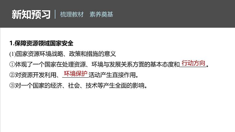 第四章 第二节 国家战略与政策第6页