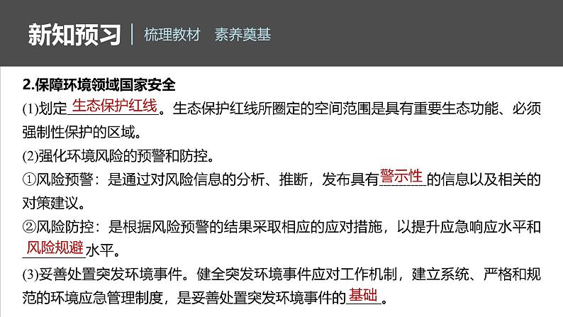 第四章 第二节 国家战略与政策第8页