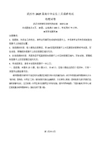 湖北省武汉市2024-2025学年高三下学期（2月）调研考试地理试题（Word版附解析）