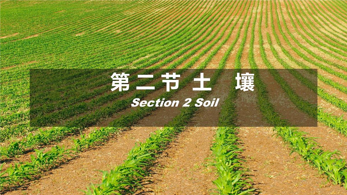 5.2 土壤 课件-高中地理人教版(2019)必修第一册第1页