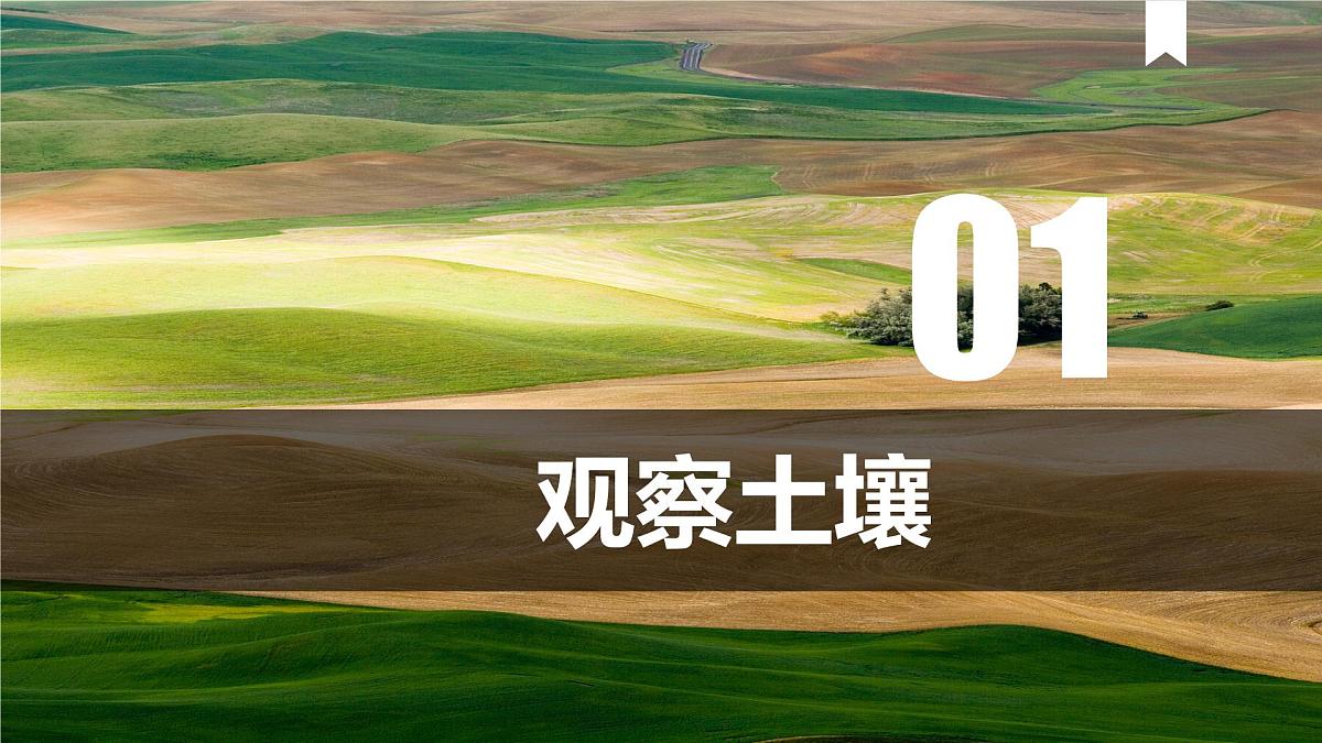 5.2 土壤 课件-高中地理人教版(2019)必修第一册第2页