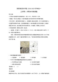 2024-2025学年陕西省部分学校高一上学期1月期末考试地理试卷（解析版）