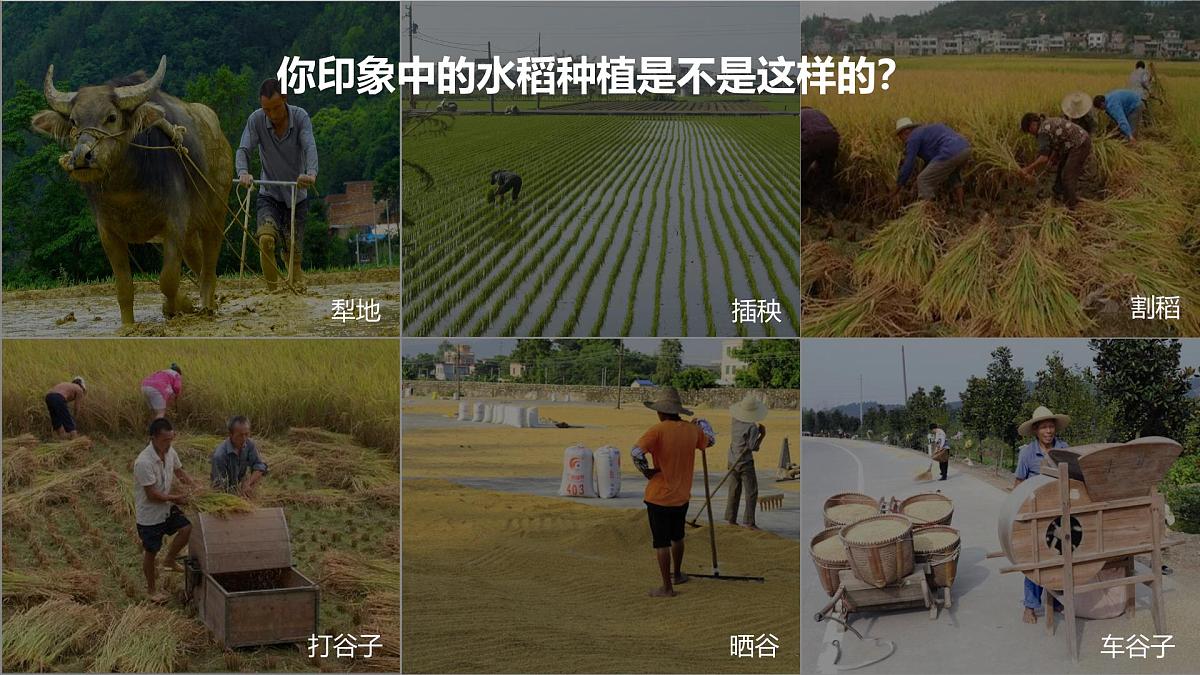 人教版2025高中地理必修二3.1 《农业区位因素及其变化》 课件第2页