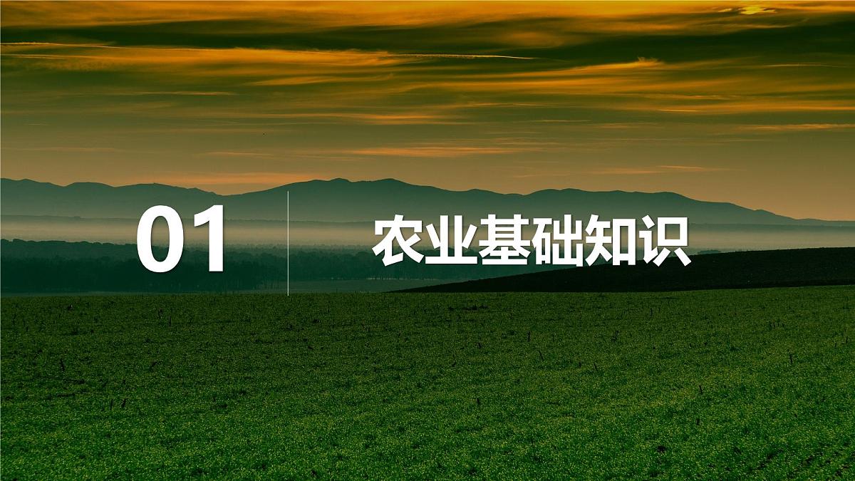 人教版2025高中地理必修二3.1 《农业区位因素及其变化》 课件第5页