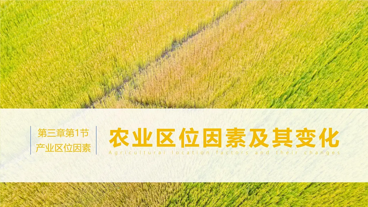 人教版2025高中地理必修二3.1 农业区位因素及其变化 课件第1页