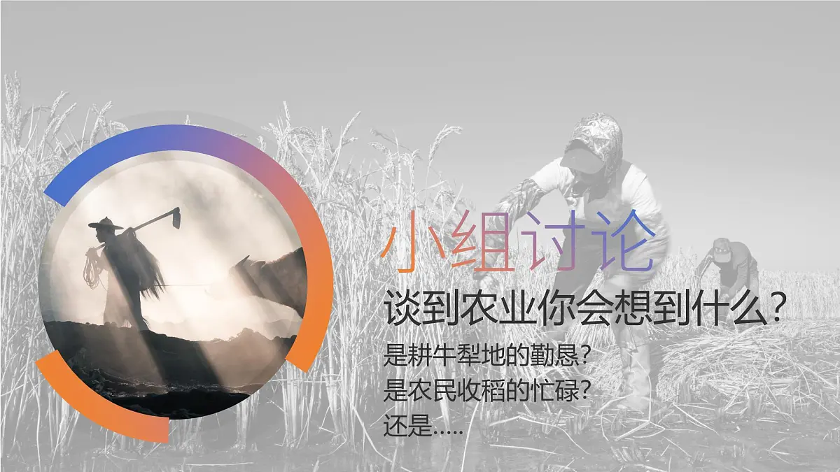人教版2025高中地理必修二3.1 农业区位因素及其变化 课件第4页