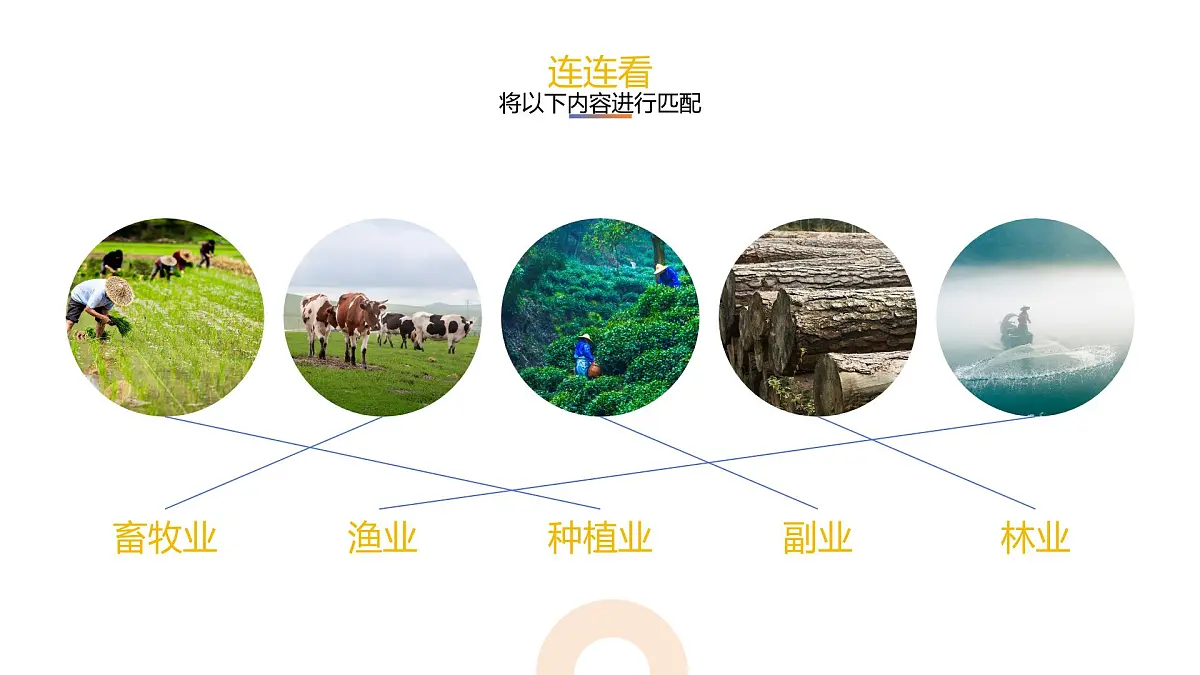 人教版2025高中地理必修二3.1 农业区位因素及其变化 课件第6页