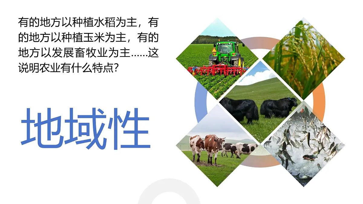 人教版2025高中地理必修二3.1 农业区位因素及其变化 课件第8页