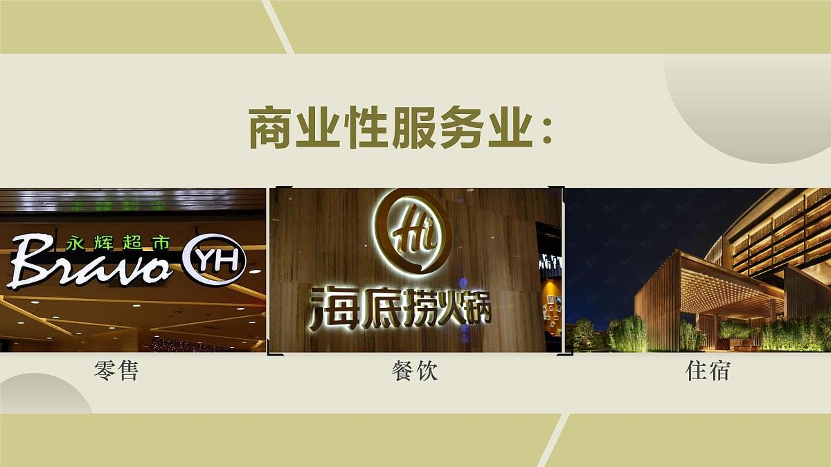 人教版2025高中地理必修二3.3服务业区位因素及其变化 课件第6页