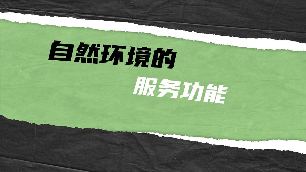 人教版2025高中地理选择性必修三1.1《自然环境的服务功能》 课件第4页