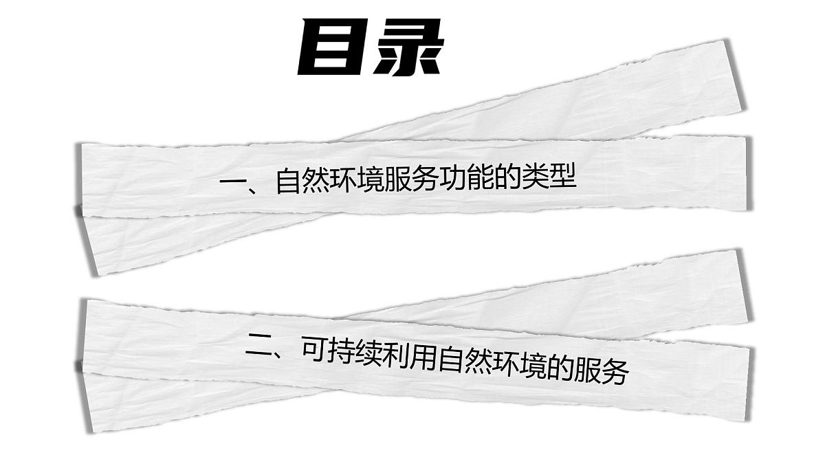人教版2025高中地理选择性必修三1.1《自然环境的服务功能》 课件第5页