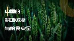 人教版2025高中地理選擇性必修三2.3《中國的耕地資源與糧食安全》 課件