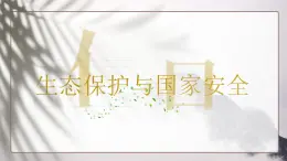 人教版2025高中地理選擇性必修三3.3《生態(tài)保護(hù)與國家安全》 課件