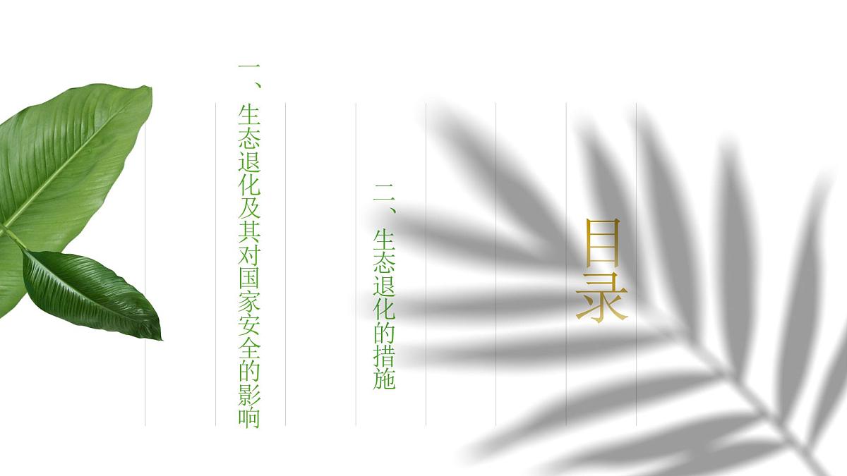 人教版2025高中地理选择性必修三3.3《生态保护与国家安全》 课件第5页