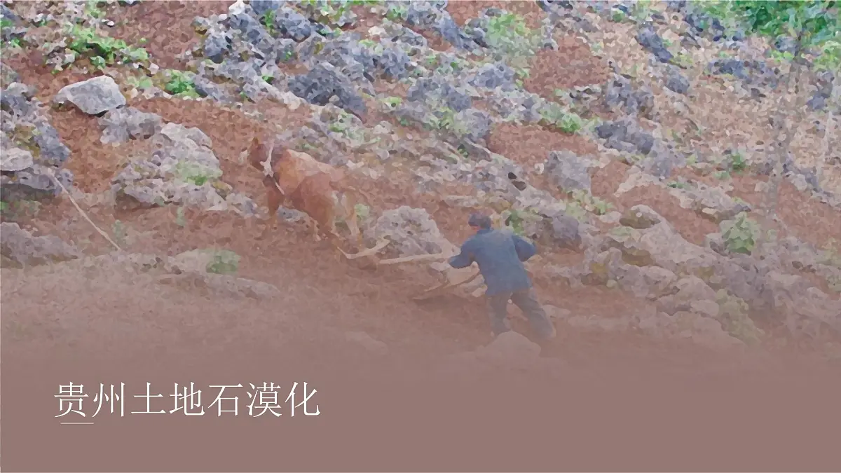 人教版2025高中地理选择性必修三3.3《生态保护与国家安全》 课件第8页